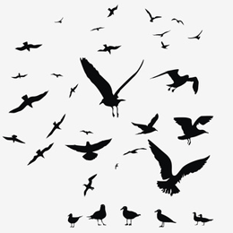 Postzegels
van het thema Vogels
'
Postzegels
van het thema Vogels
'