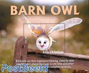 Barn Owl s/s