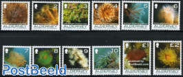 Definitives, Coral and anemones 12v
