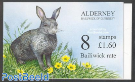 Rabbit booklet