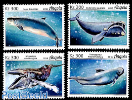 Whales 4v