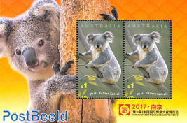 Koala, Collection Expo s/s