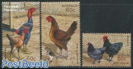 Poultry breeds 3v