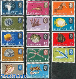 Marine life 14v