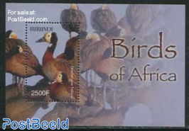 African birds s/s