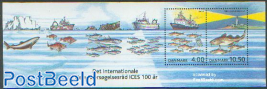 100 year ICES s/s