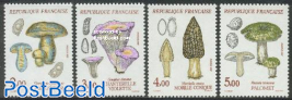 Mushrooms 4v