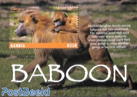 Baboon s/s