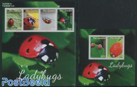 Ladybugs 2 s/s