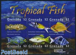 Tropical fish 6v m/s