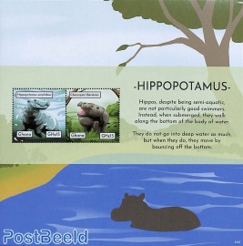 Hippopotamus 2v m/s