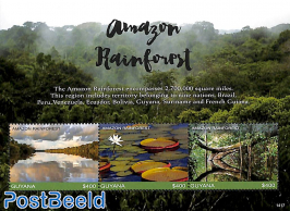 Amazon Rainforest 3v m/s