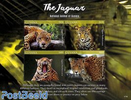 The Jaguar 4v m/s