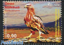 Lesser Spotted Eagle 1v