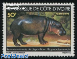 Small Hippo 1v