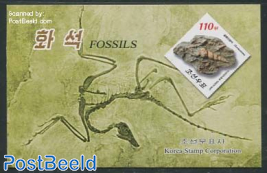 Fossils booklet