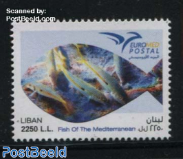 Euromed, Fish of the Mediterranean 1v