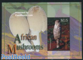 African mushrooms s/s