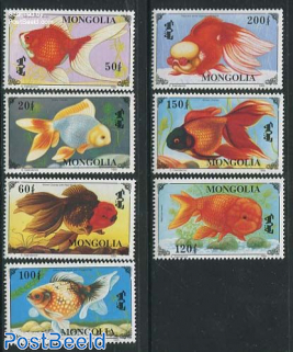 Goldfish 7v