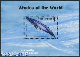 Whales of the world s/s