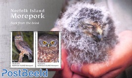 Morepork owl s/s