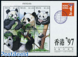 Hong Kong 97, Panda 6v m/s