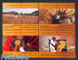 Omani Wheat Harvest 4v [+]