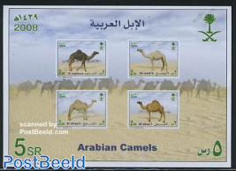 Arabian camels s/s