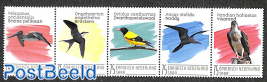 Saba, birds 4v