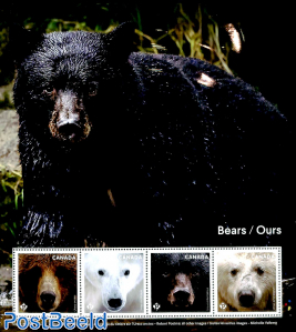 Bears 4v m/s
