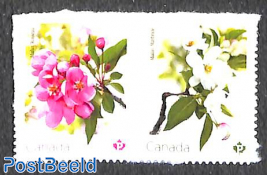 Crabapple blossoms 2v s-a