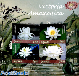 Victoria Amazonica 4v m/s