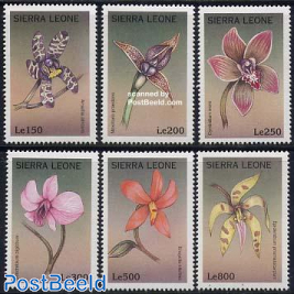 Orchids 6v