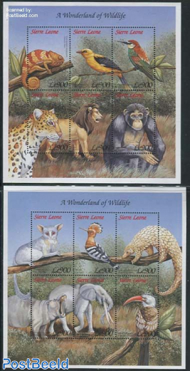 African fauna 12v (2 m/s)