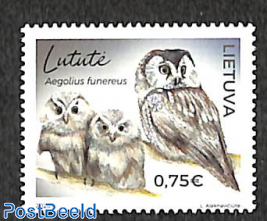 Owls 1v