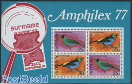 Birds Amphilex 77 s/s