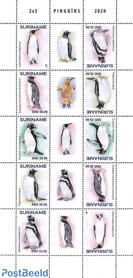 Penguins m/s