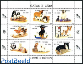 Dogs & cats 9v m/s