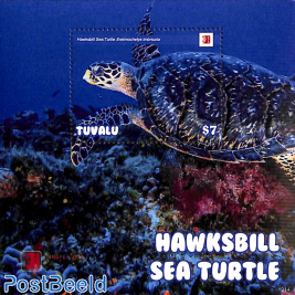 Hawksbill Sea Turtle s/s