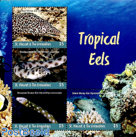 Tropical Eels 4v m/s