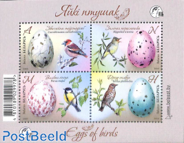 Bird eggs s/s