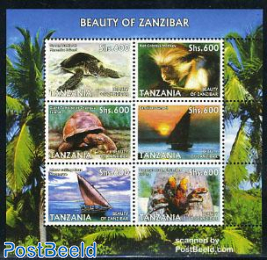 Beauty of Zanzibar 6v m/s