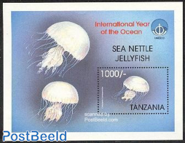 Sea nettle jellyfish s/s