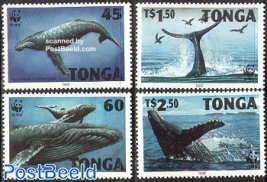 WWF, humpback whale 4v