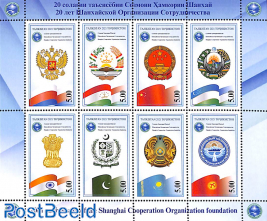 Shanghai Cooperation Organisation foundation 8v m/s