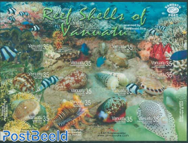 Reef shells 12v m/s s-a