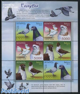 Pigeons m/s (with 2 sets)