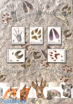 In the trace of wild animals 5v m/s