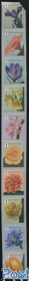 Flowers 10v s-a