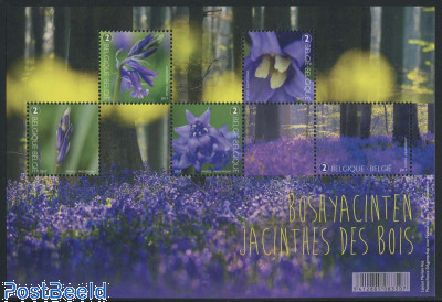 Forest Hyacinths s/s